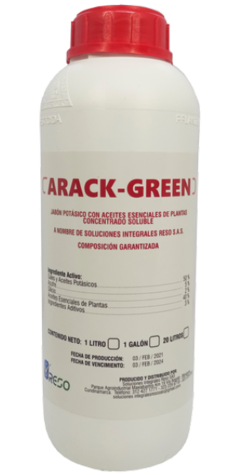 ARACK - GREEN